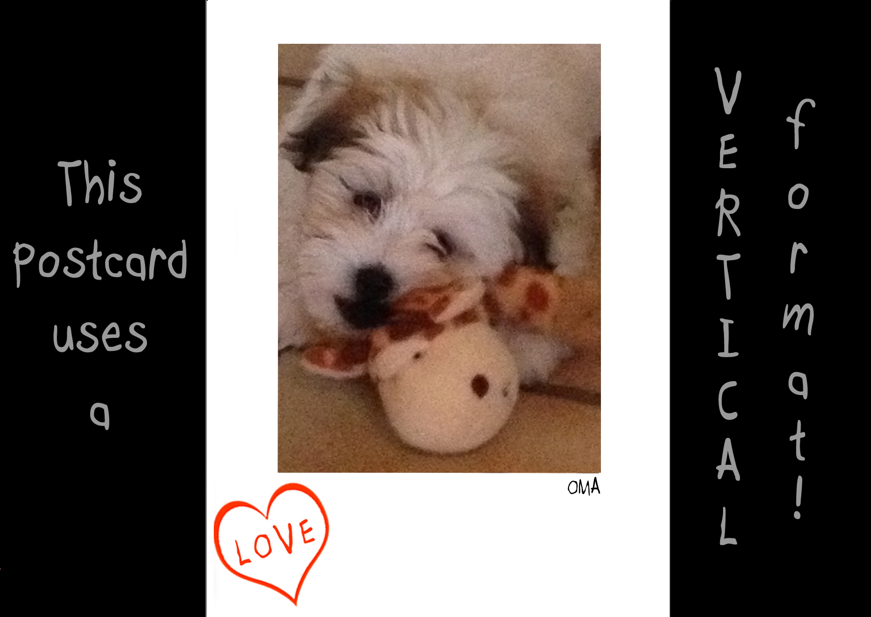 X-tra! Valentine's Day (en) - Puppy Love ii
